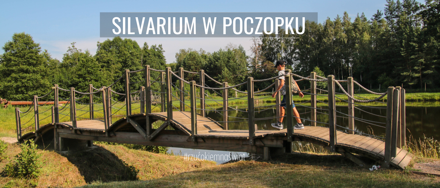 Silvarium w Poczopku