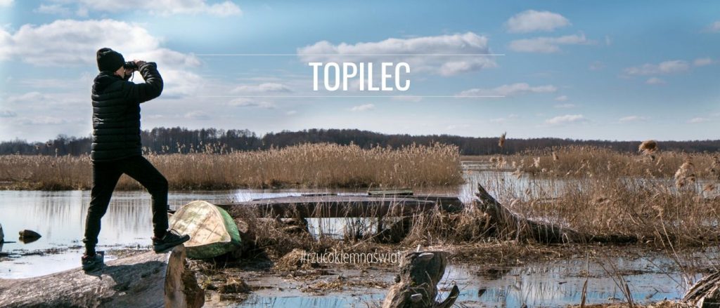 Topilec