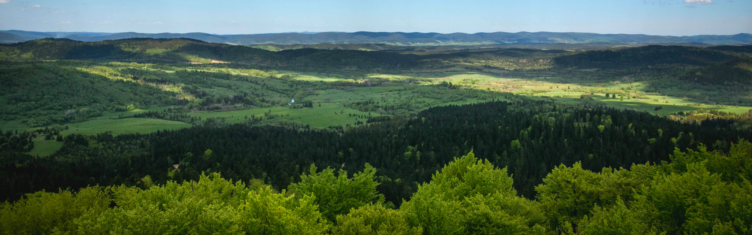 Wieża widokowa Muczne