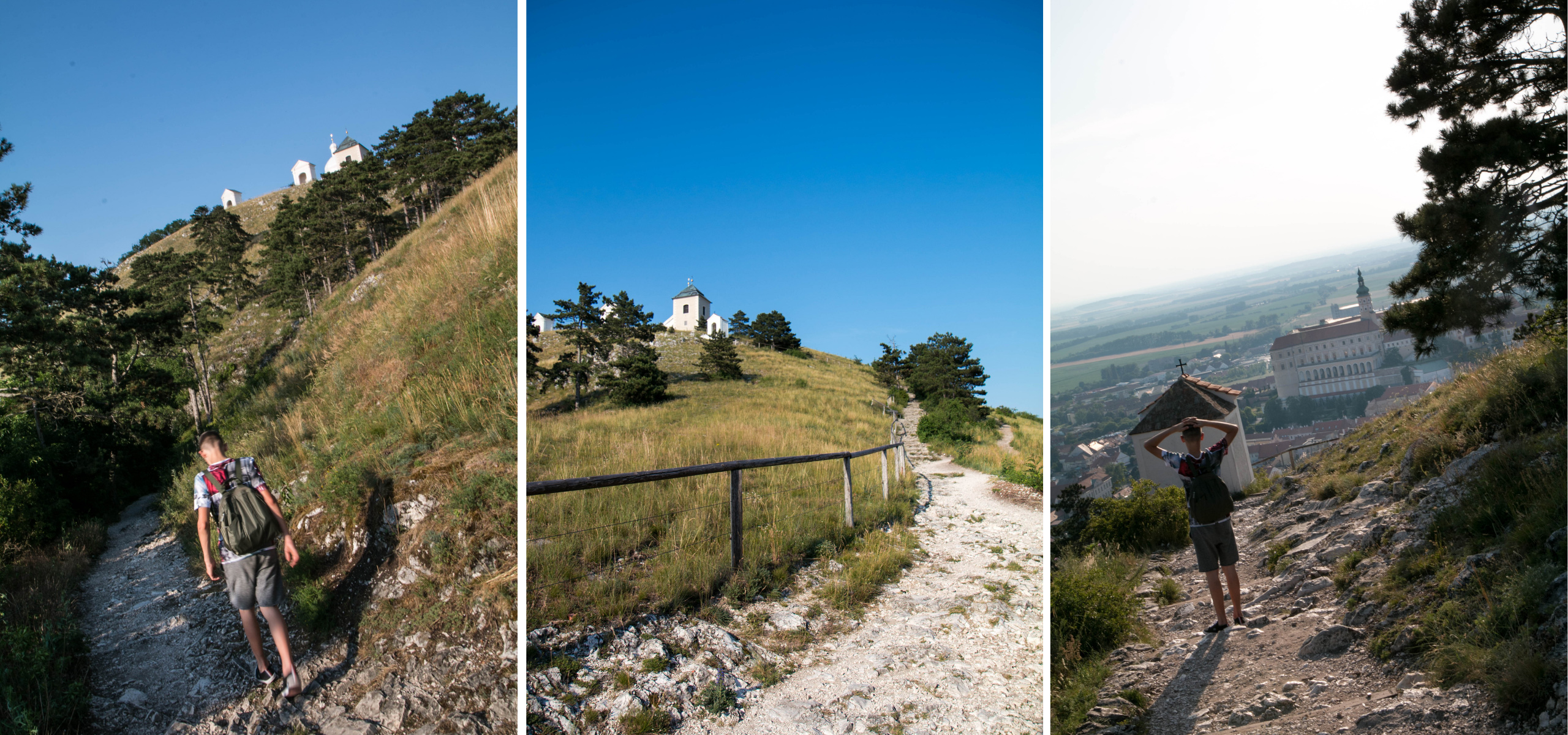 Mikulov