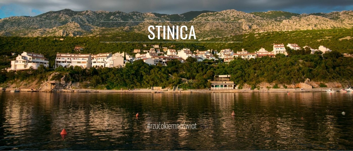 Stinica