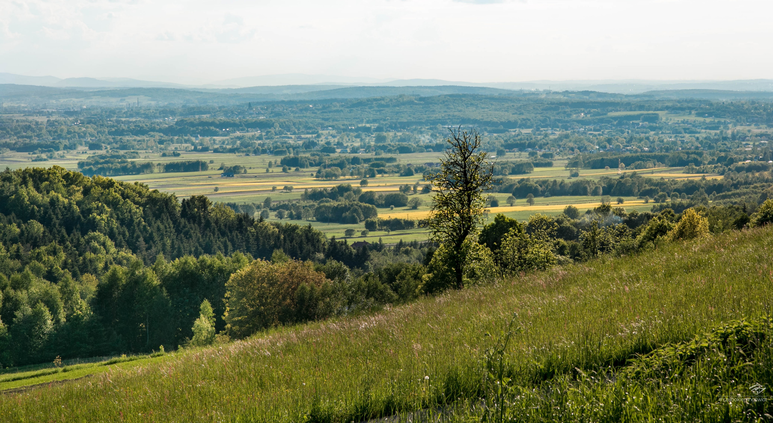 Zamek Kamieniec