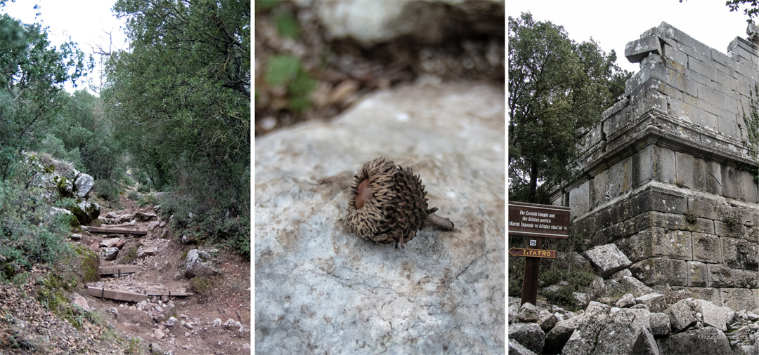 Termessos