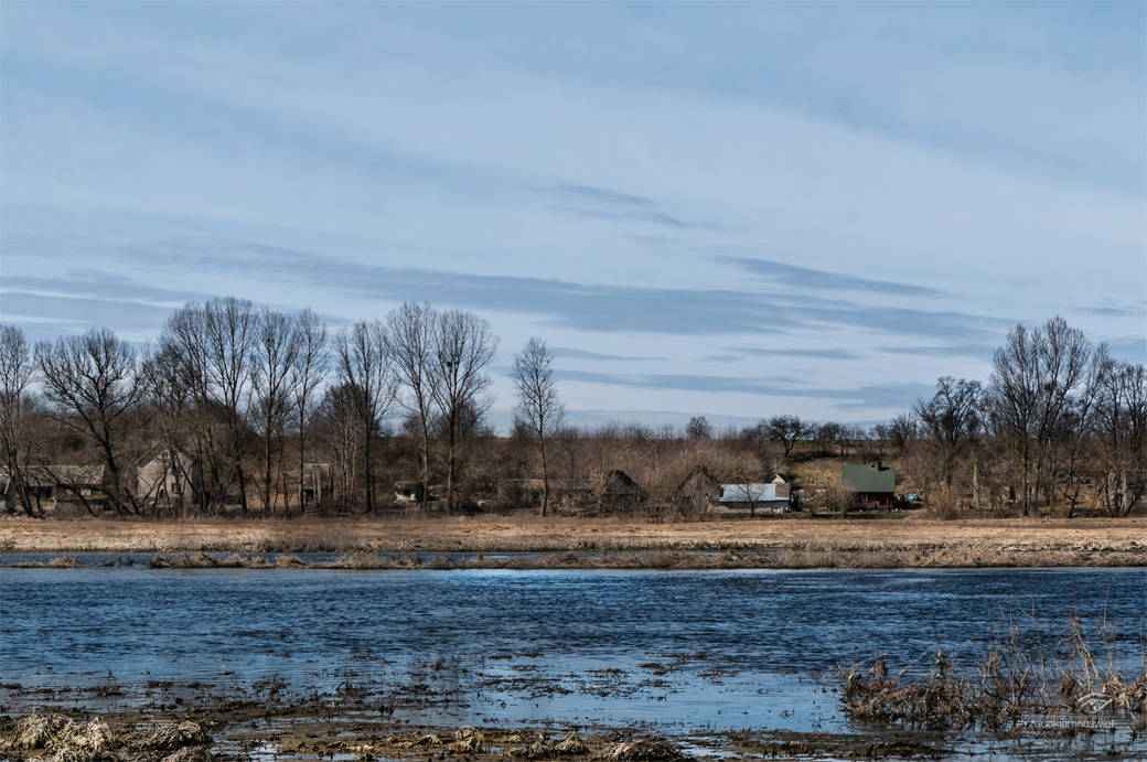 Wydmy nad Narwią