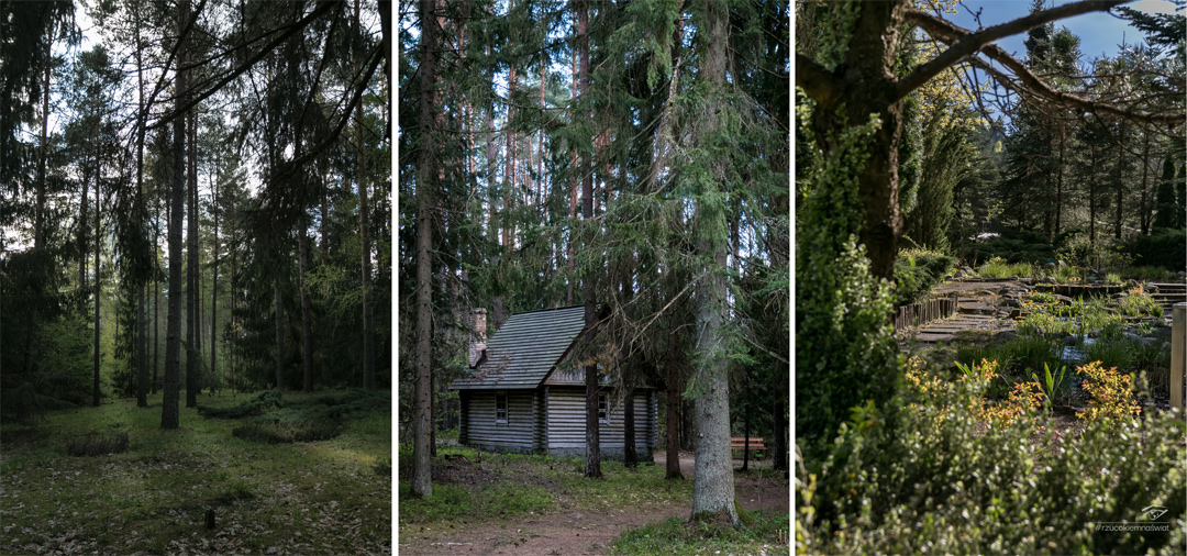 Arboretum w Kopnej Górze