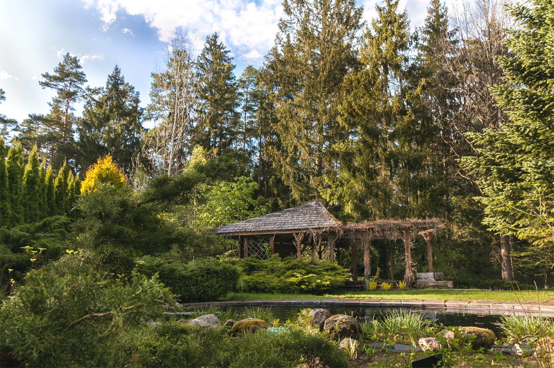 Arboretum w Kopnej Górze