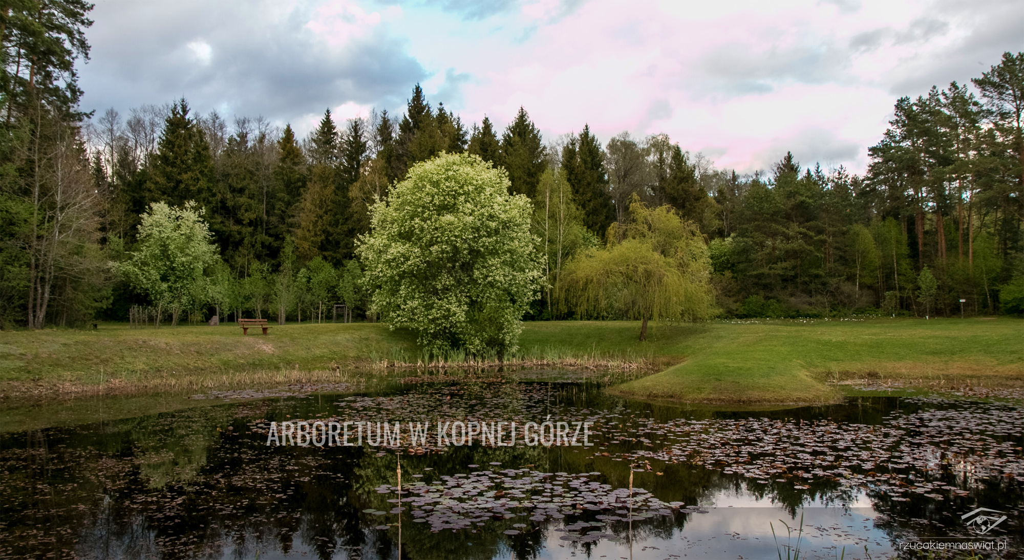 Arboretum w Kopnej Górze