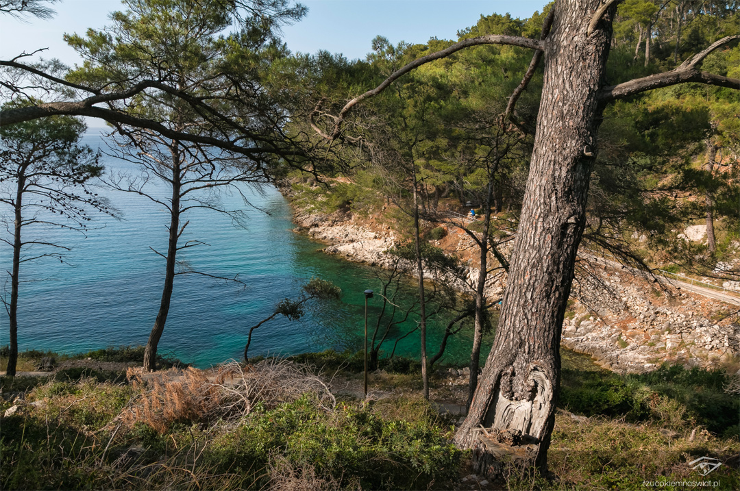 Veli Losinj ścieżka nad morzem