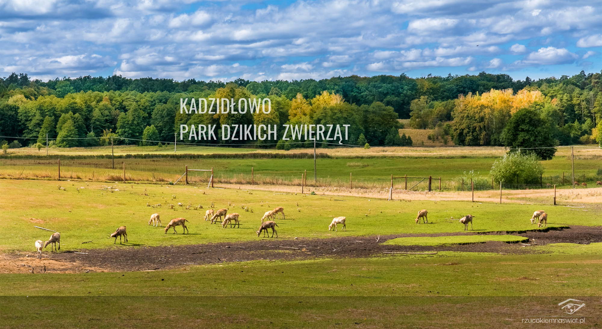 Kadzidłowo