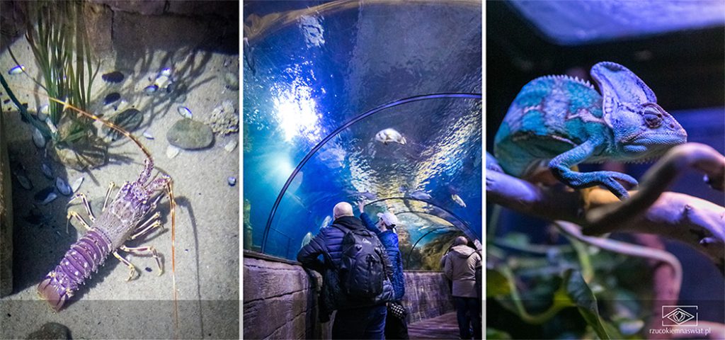 Malta National Aquarium