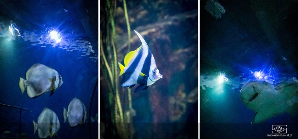 Malta National Aquarium