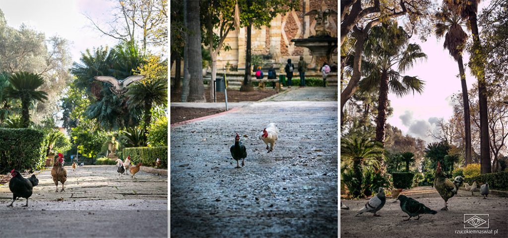 San Anton Gardens