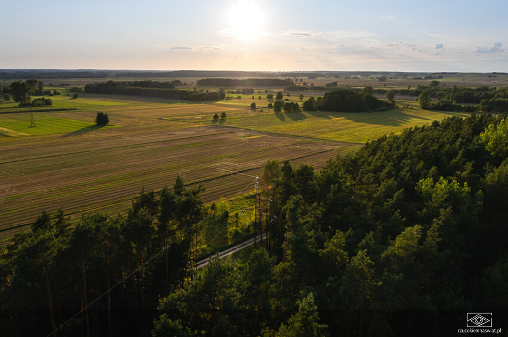 widok z wieży widokowej Uhowo