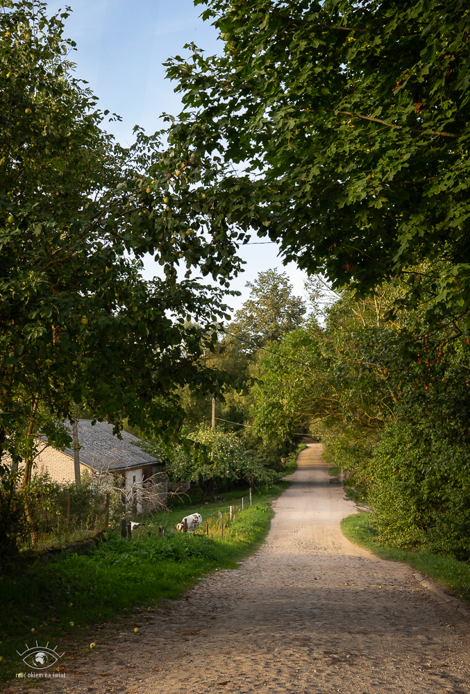 Wodziłki