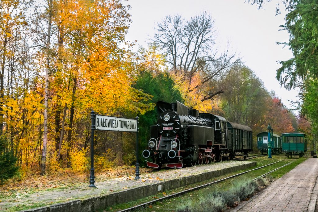 Białowieża Towarowa